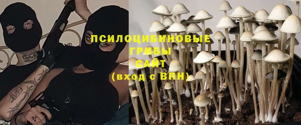 ПСИЛОЦИБИНОВЫЕ ГРИБЫ Абинск