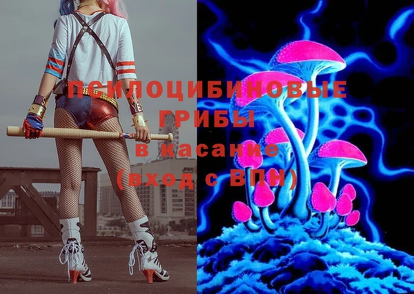 ПСИЛОЦИБИНОВЫЕ ГРИБЫ Абинск